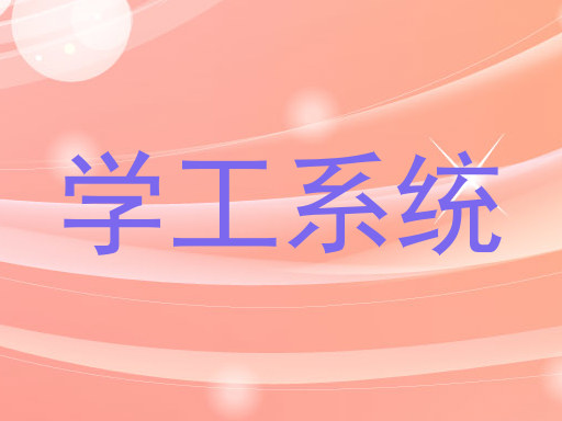 学工系统