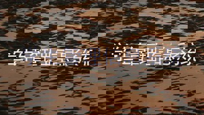 学生管理信息系统