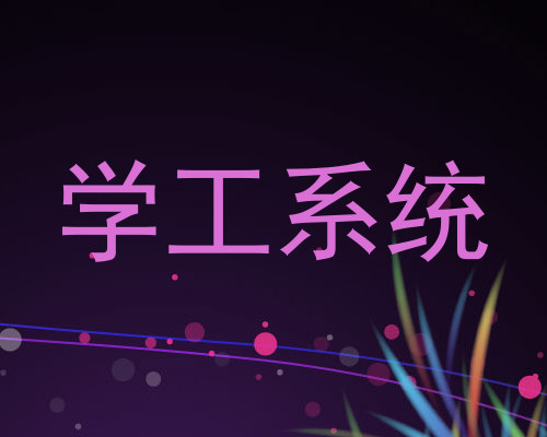 学工系统