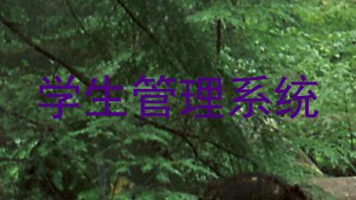 学生管理系统