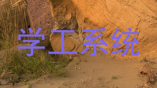 学工系统