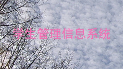 学生管理信息系统