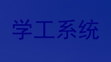 学工系统