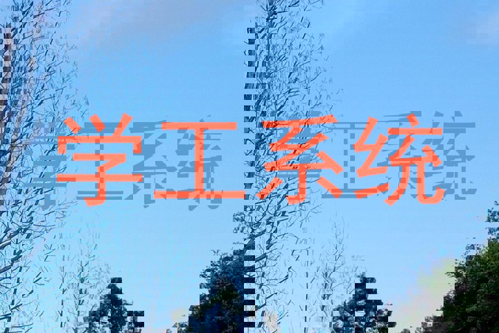 学工系统