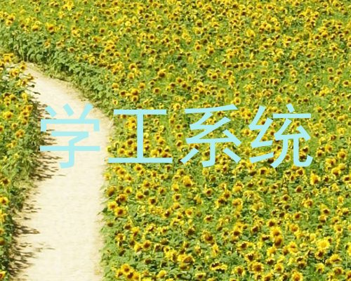 学工系统