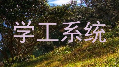 学工系统