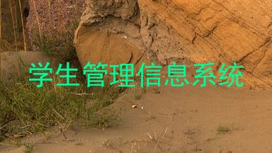 学生管理信息系统