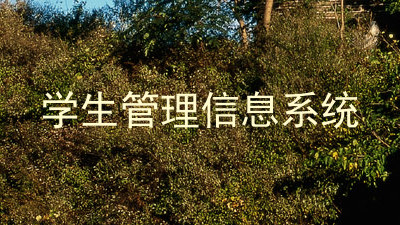 学生管理信息系统