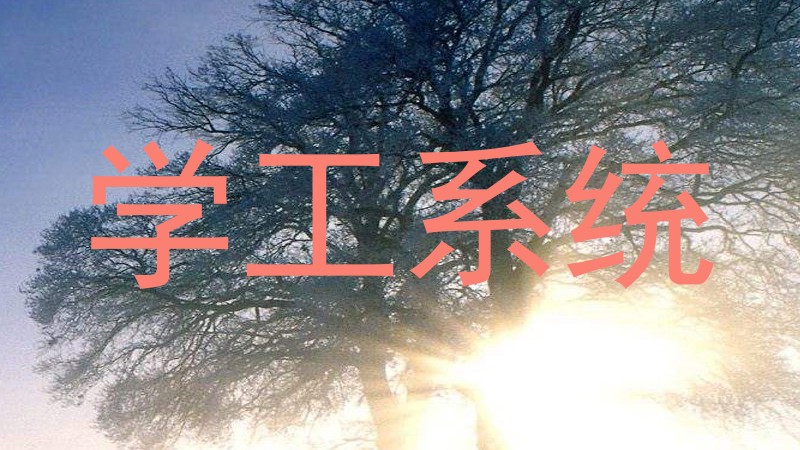 学工系统