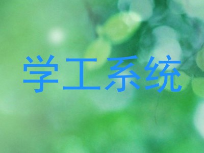 学工系统
