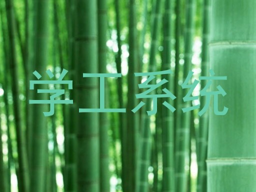 学工系统