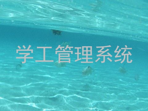 学工管理系统