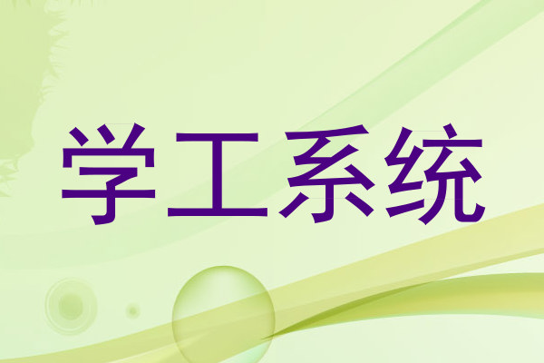 学工系统