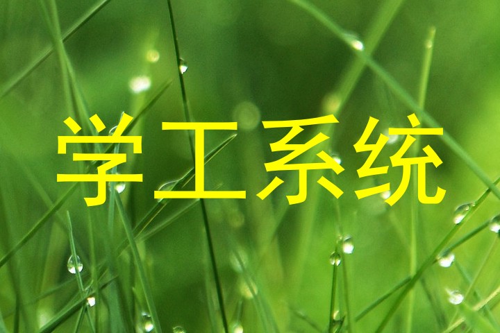 学工系统