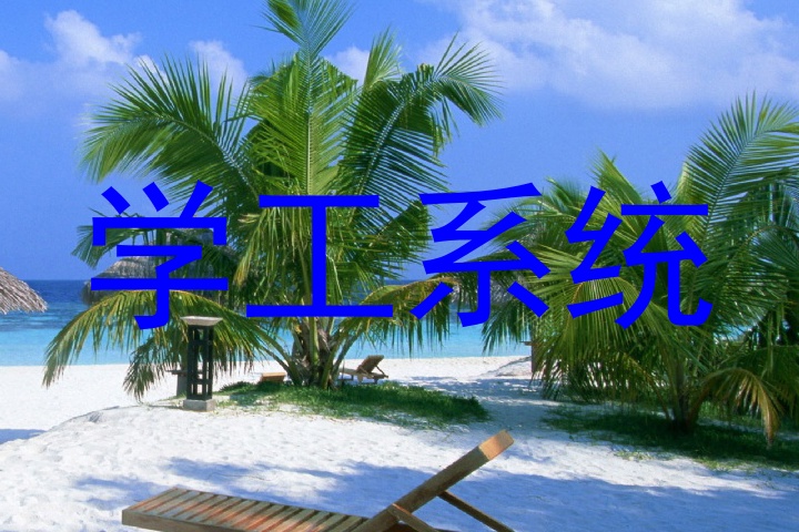 学工系统