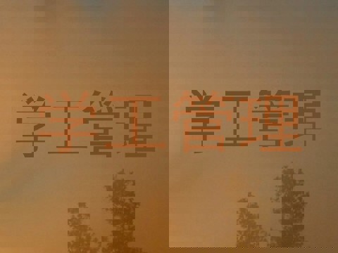 学工管理