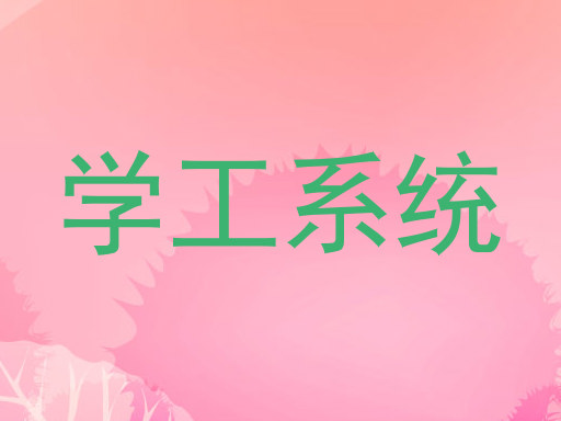 学工系统
