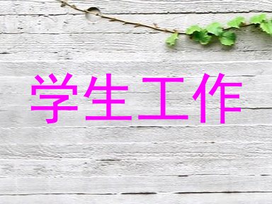 学生工作