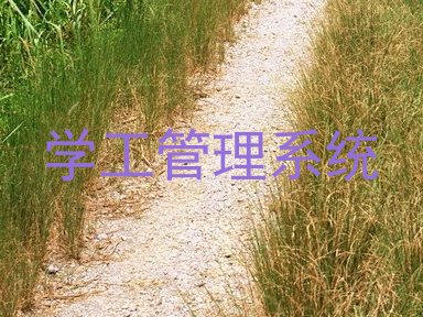 学工管理系统