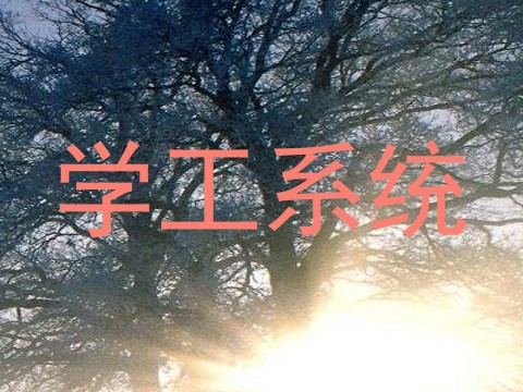 学工系统