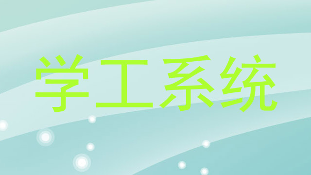 学工系统