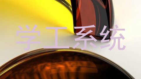 学工系统