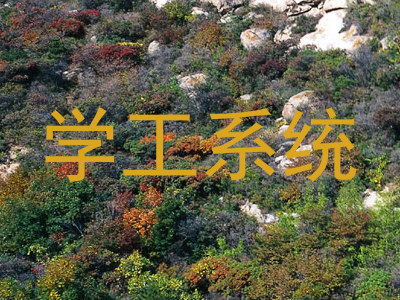 学工系统