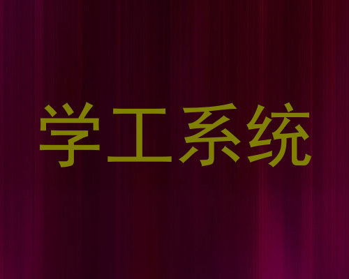 学工系统