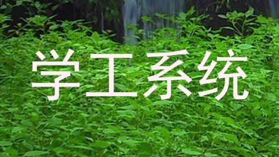 学工系统
