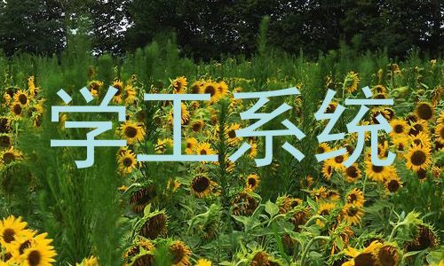 学工系统