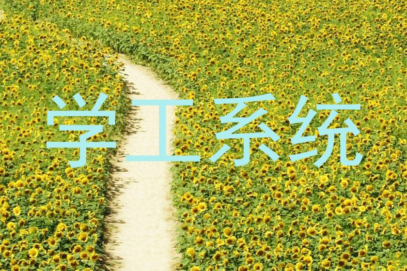 学工系统