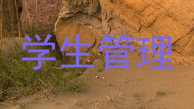 学生管理