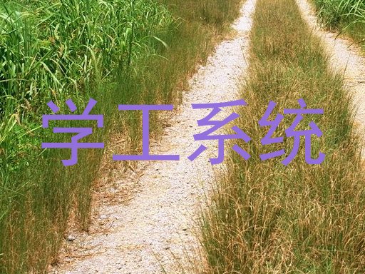 学工系统