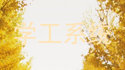 学工系统