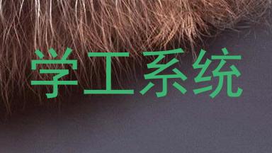 学工系统