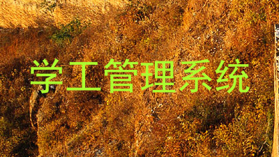 学工管理系统