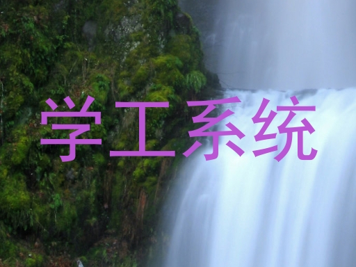 学工系统