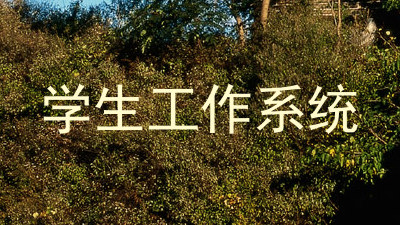 学生工作系统