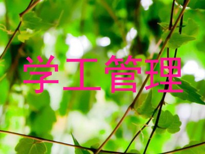 学工管理
