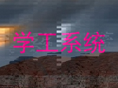 学工系统