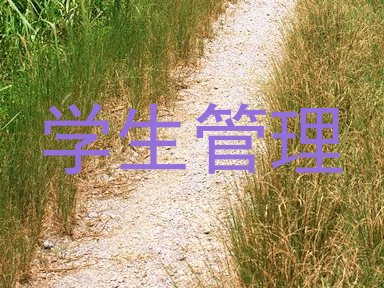 学生管理