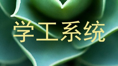 学工系统