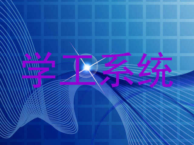 学工系统
