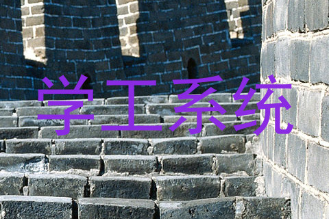 学工系统
