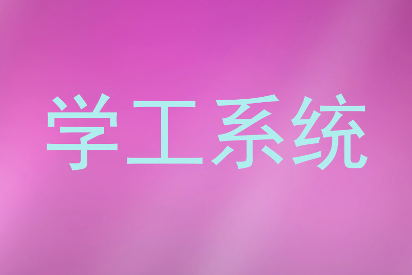 学工系统