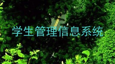 学生管理信息系统