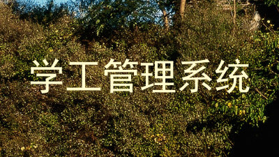 学工管理系统