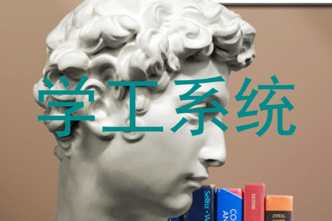 学工系统