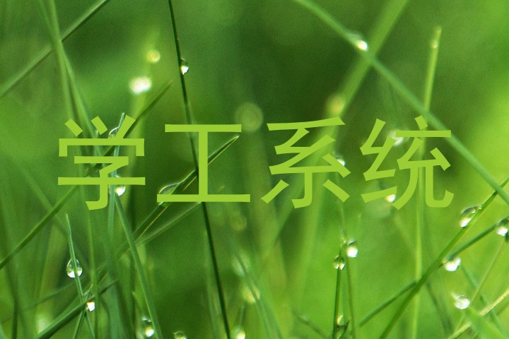 学工系统