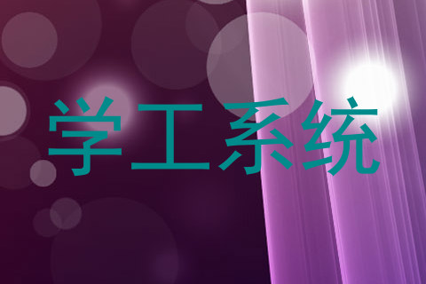 学工系统